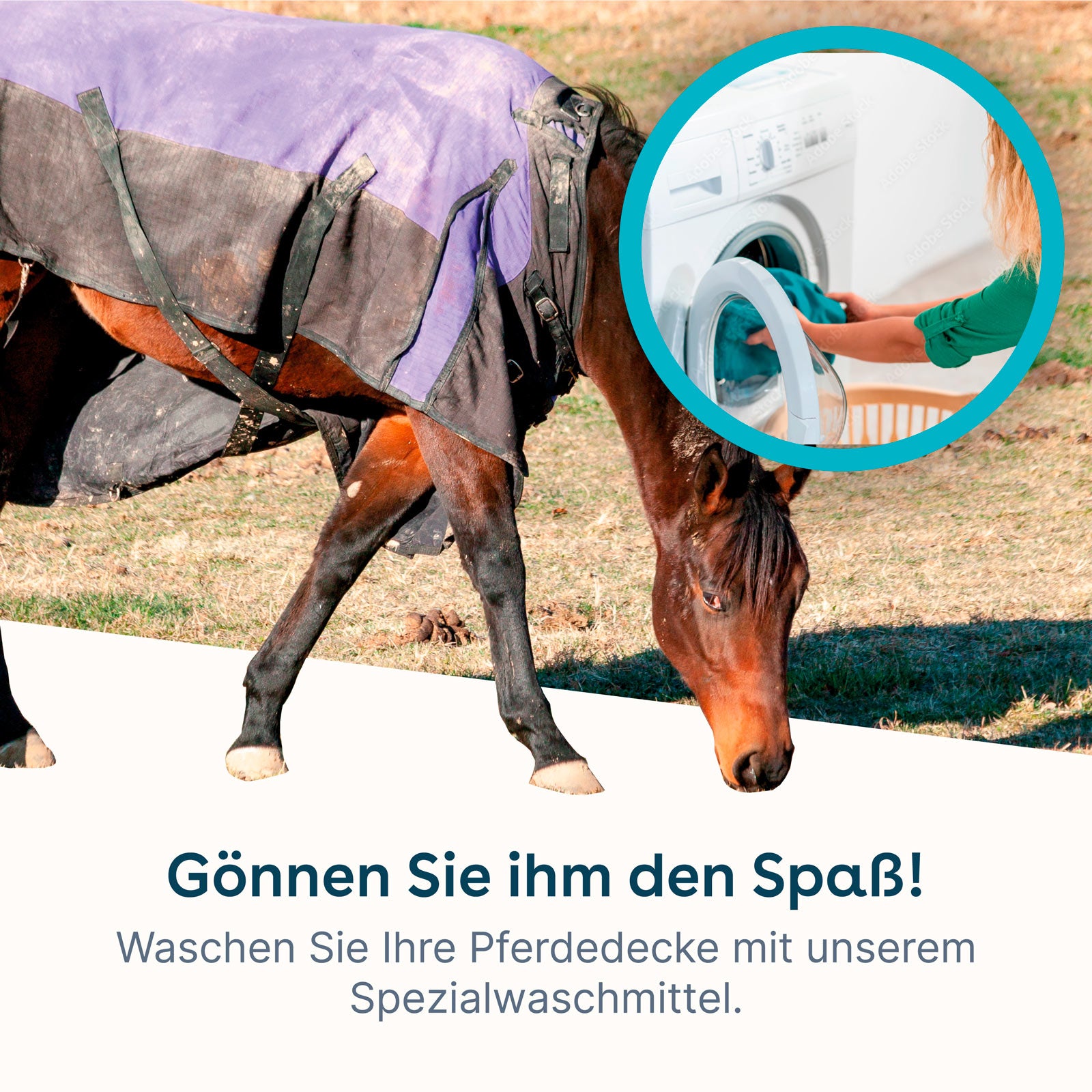 Spray imperméabilisant pour couverture de cheval et tissu Tech Wash – Lot  de 2 : : Animalerie